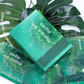 Masque Visage Hydratant aux Algues